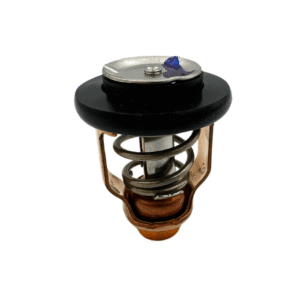 Suzuki Water Thermostat (60°) 17670-90J01